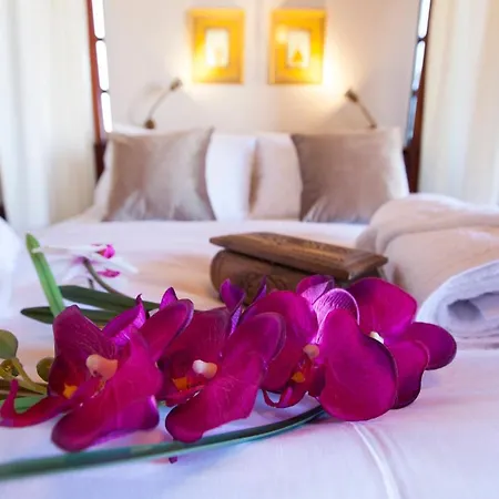 Medieval Dreams Willa *